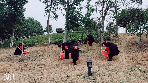 我們的節(jié)日：三八婦女節(jié)，賢母園開(kāi)展活動(dòng)